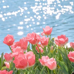 撕开奶罩揉吮奶头玩
