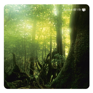 撕开奶罩揉吮奶头玩
